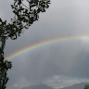 Meet your Posher, Juno